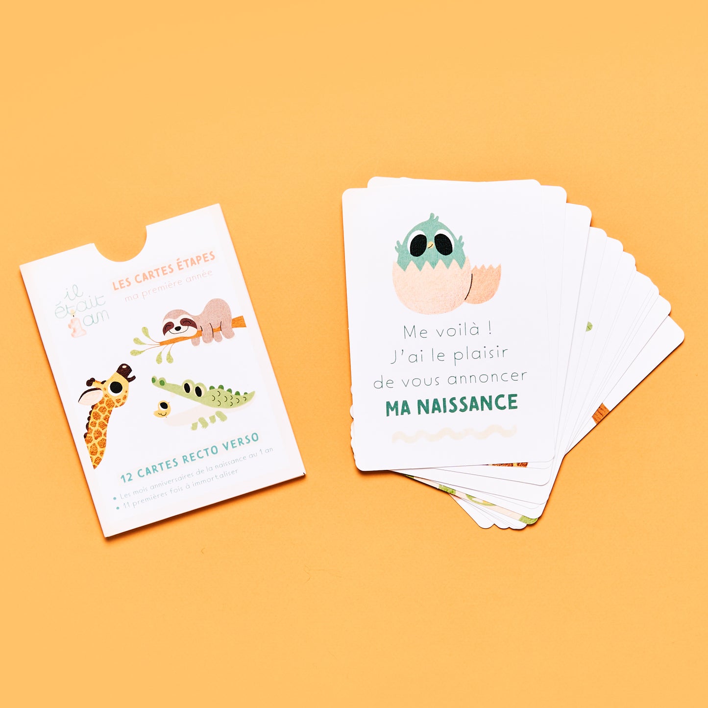 .Cartes étapes "Ma Première Année"