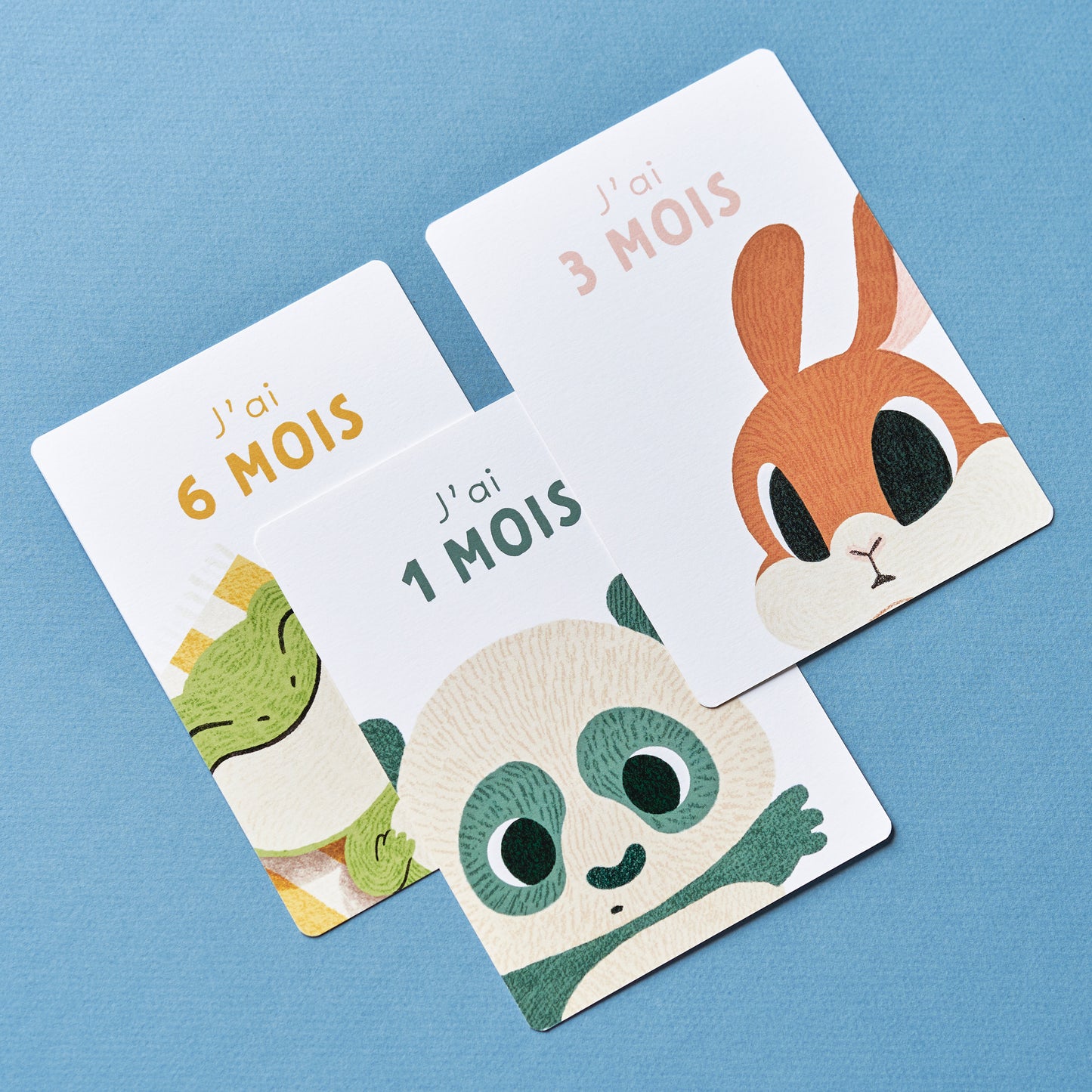 .Cartes étapes "Ma Première Année"