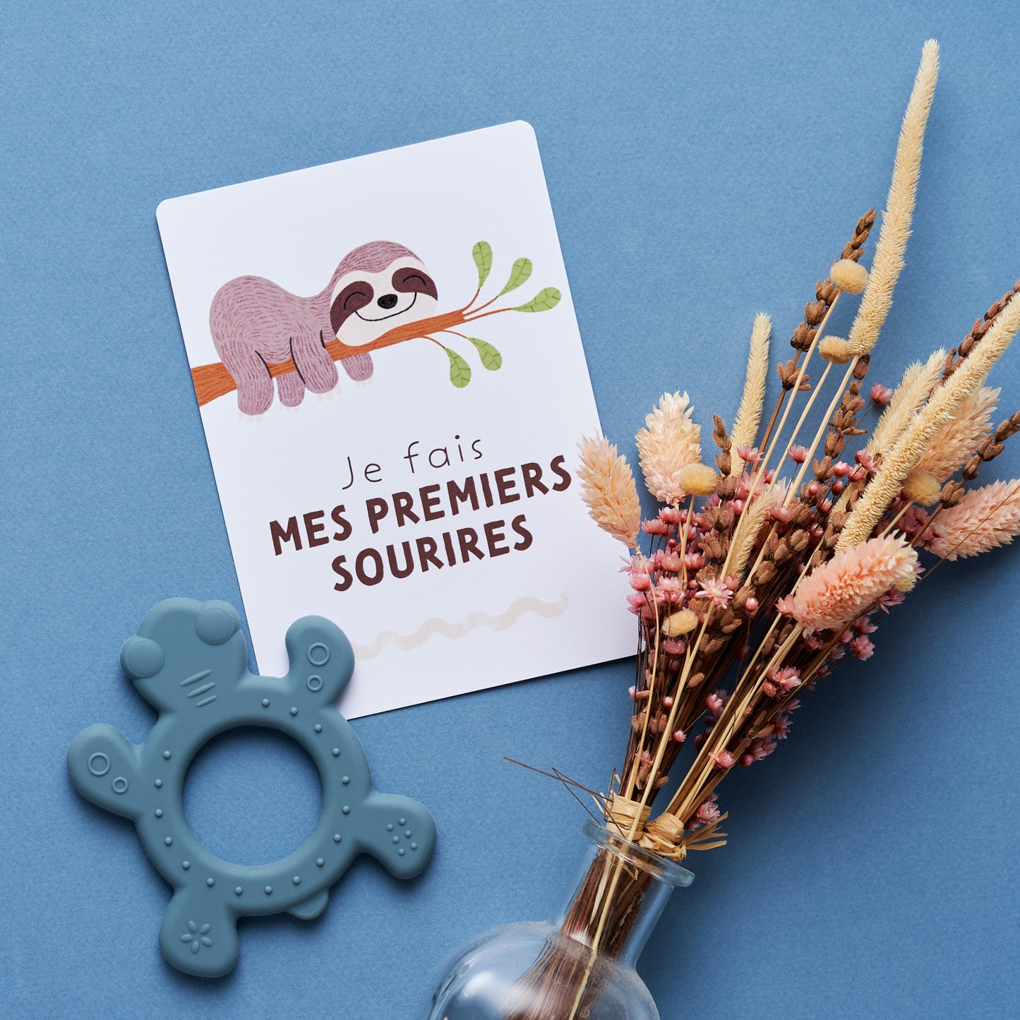 .Cartes étapes "Ma Première Année"